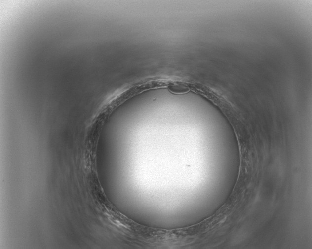 X0000059061207200510212017