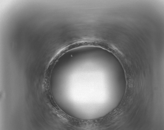 X0000059061208200510212017