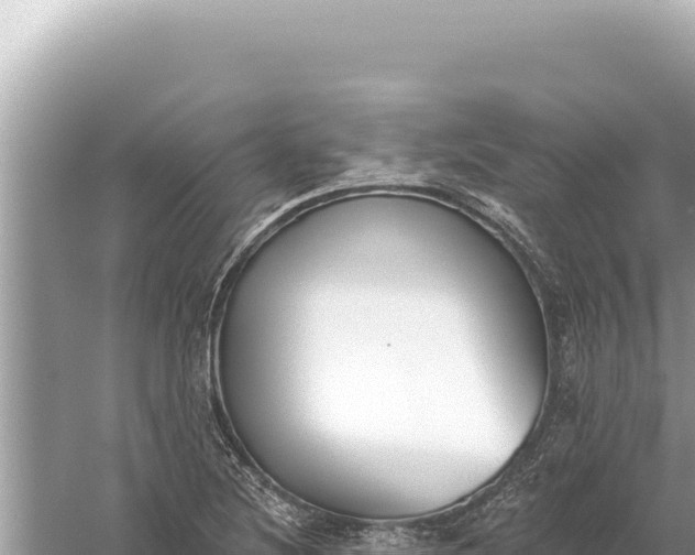 X0000059061220200510212018