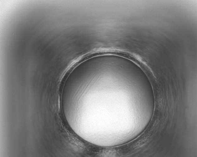 X0000059061221200510212018