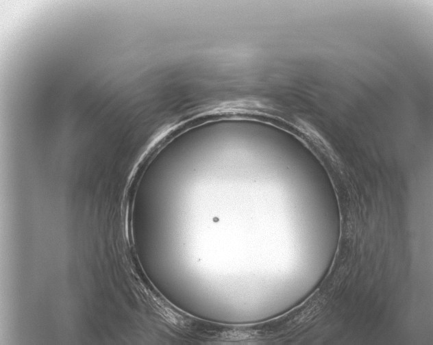 X0000059061224200510212018