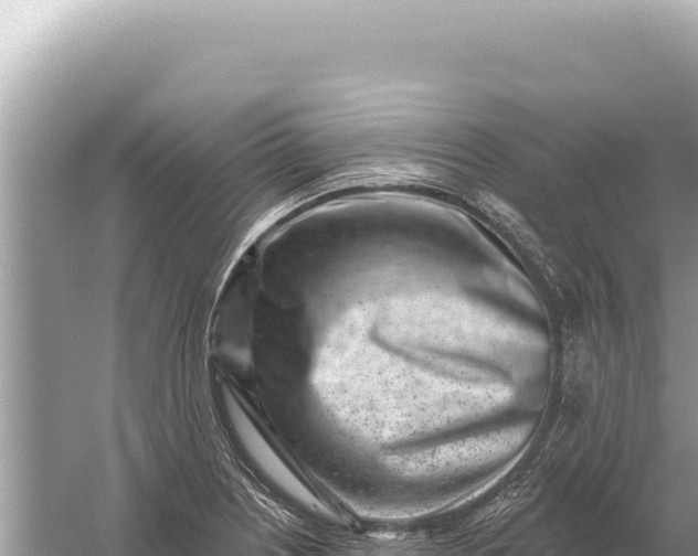 X0000059061226200510212018