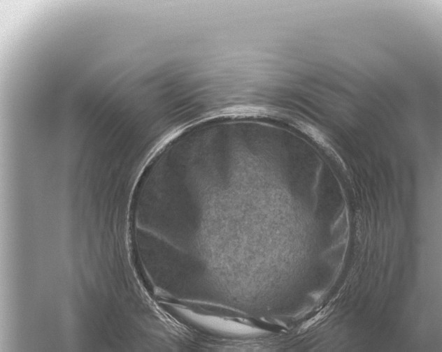 X0000059061229200510212018