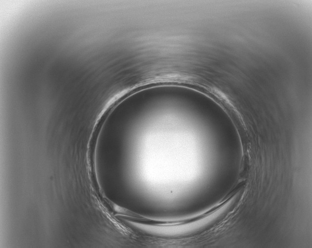 X0000059061230200510212018