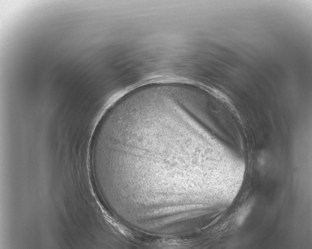 X0000059061231200510212018