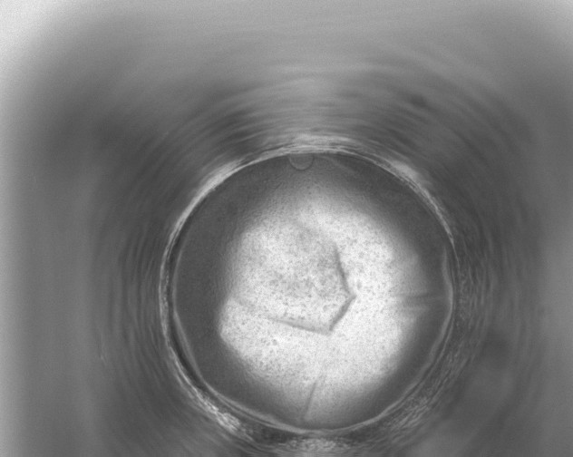 X0000059061235200510212018