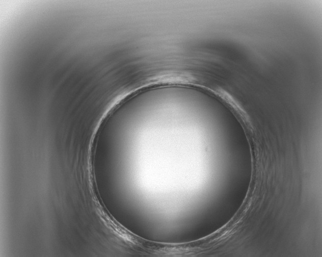 X0000059061240200510212018