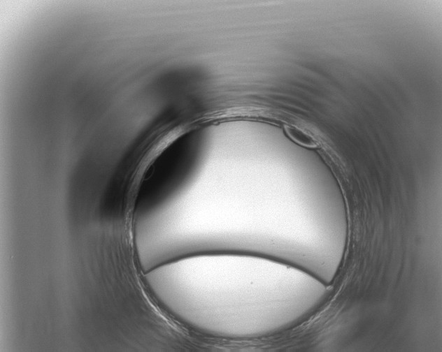 X0000059061241200510212018