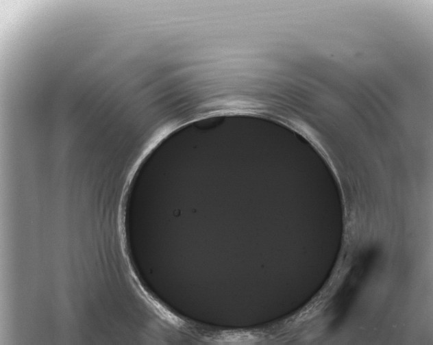 X0000059061243200510212018