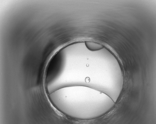 X0000059061245200510212018