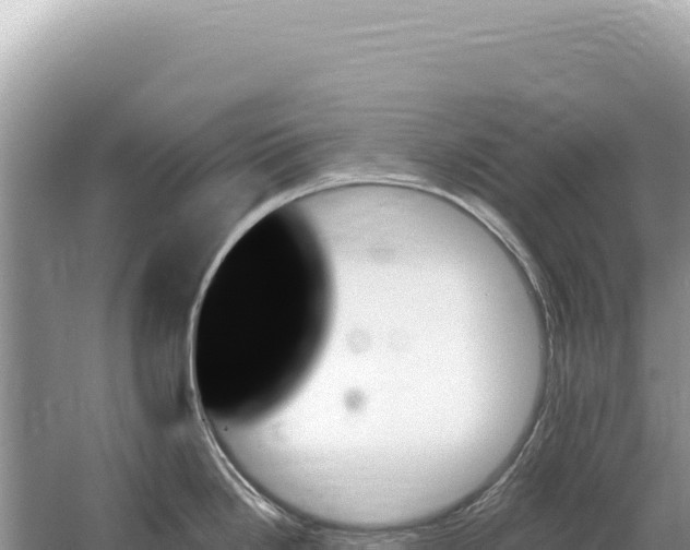 X0000059061246200510212018