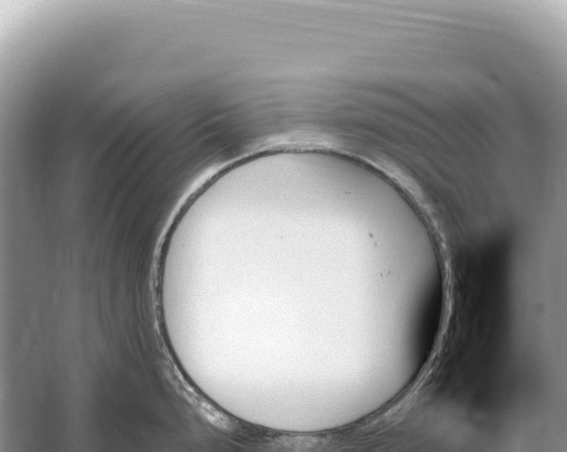 X0000059061248200510212018