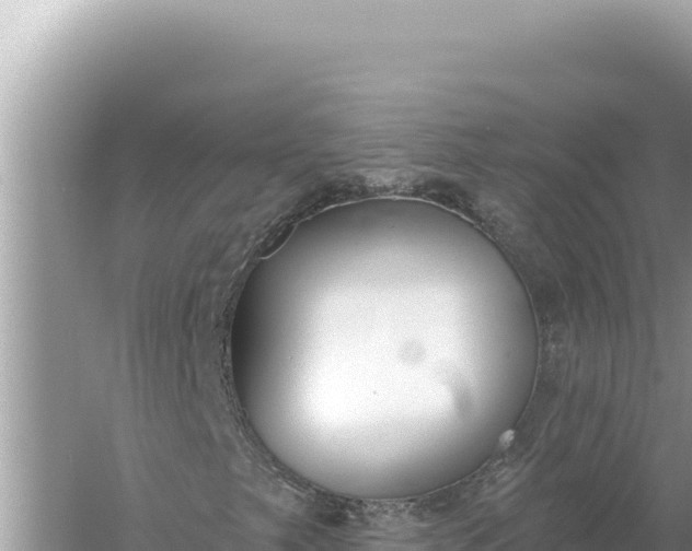 X0000059061249200510212017