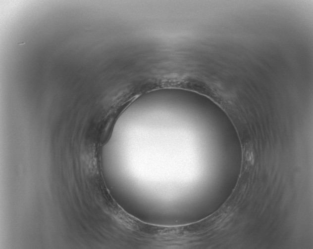 X0000059061252200510212017