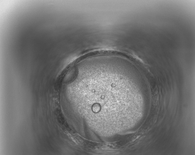 X0000059061255200510212017