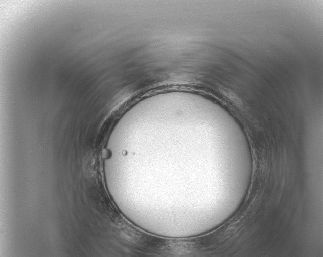 X0000059061258200510212017