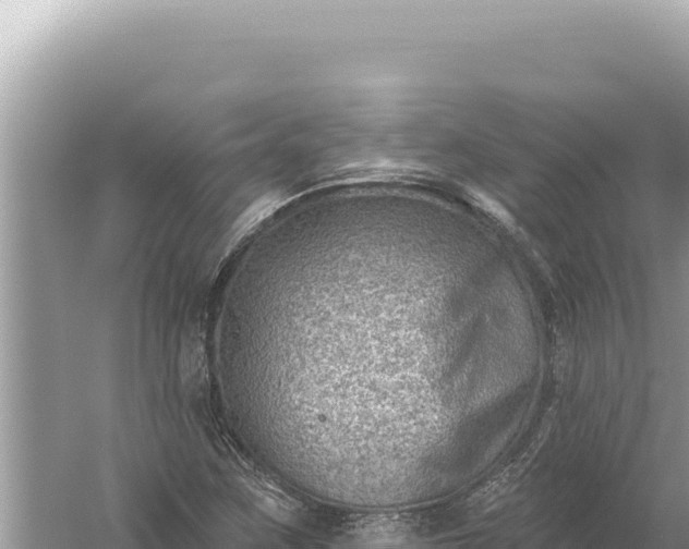 X0000059061259200510212017