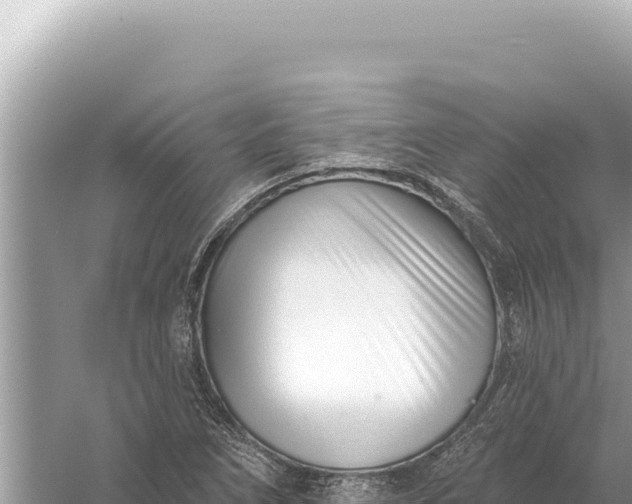 X0000059061266200510212017