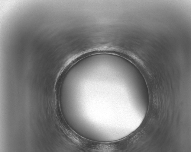 X0000059061270200510212017