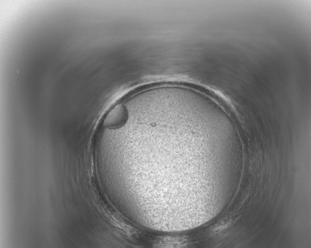 X0000059061271200510212017