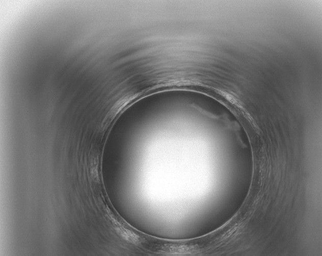 X0000059061273200510212017