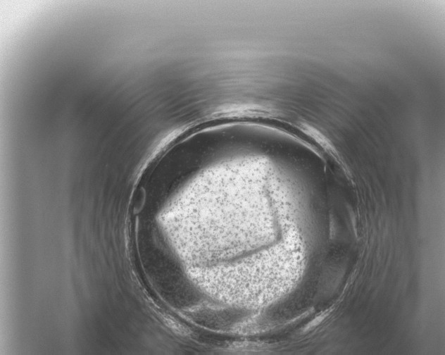 X0000059061277200510212017