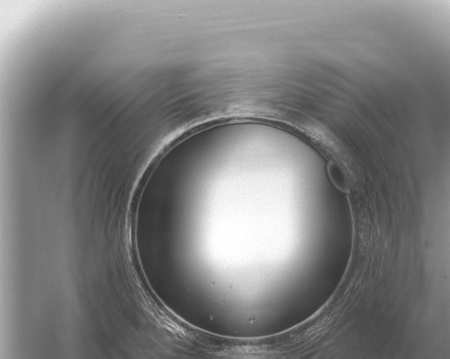 X0000059061280200510212017