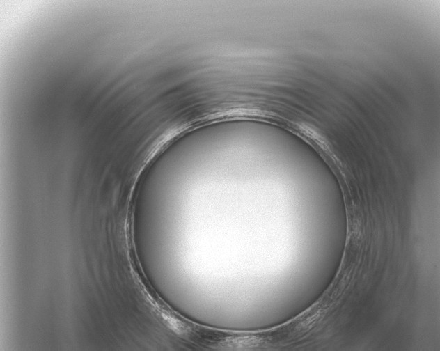 X0000059061282200510212017