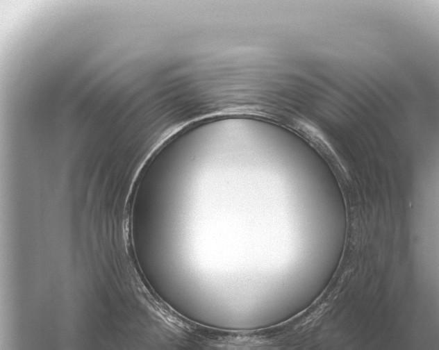 X0000059061284200510212017