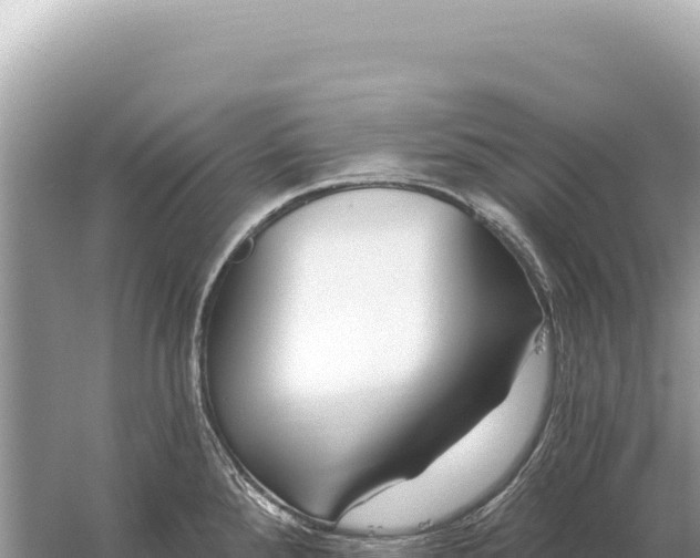 X0000059061288200510212017