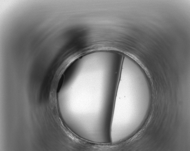 X0000059061289200510212017