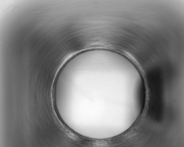 X0000059061291200510212016