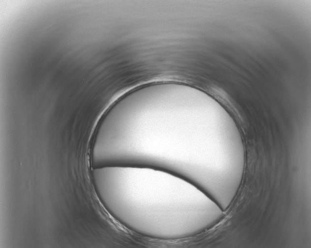 X0000059061292200510212016