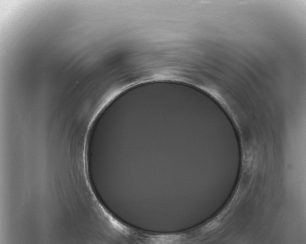 X0000059061294200510212016