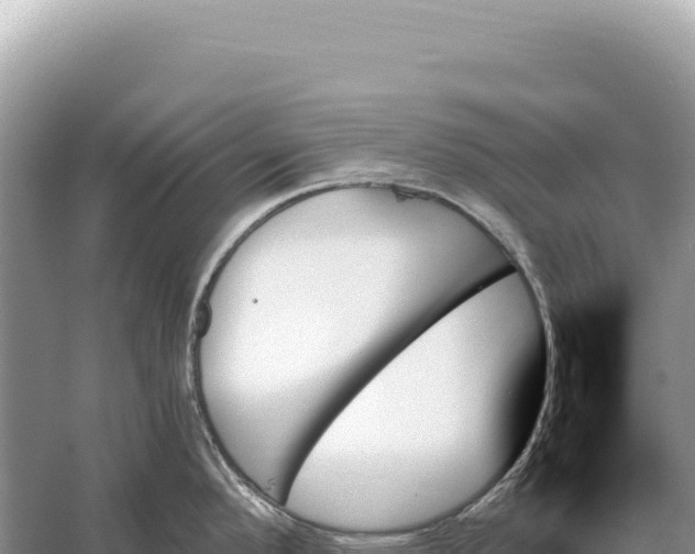 X0000059061296200510212016