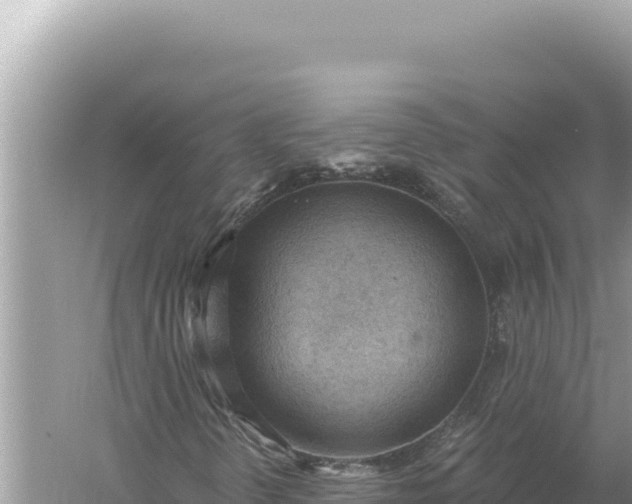 X0000059061298200510212016