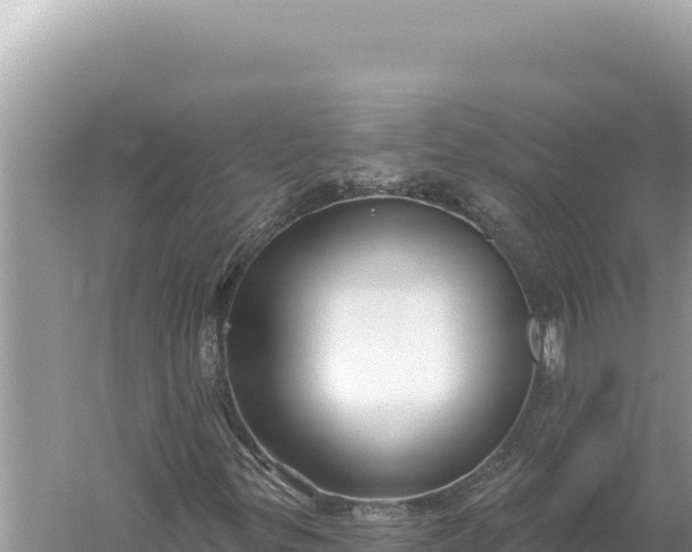 X0000059061299200510212016