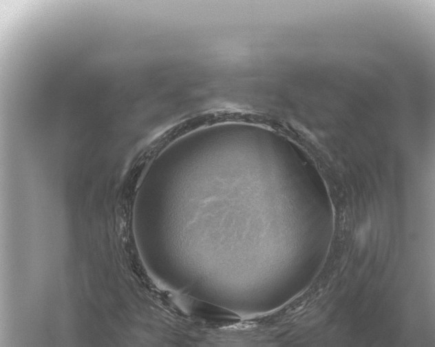 X0000059061303200510212016