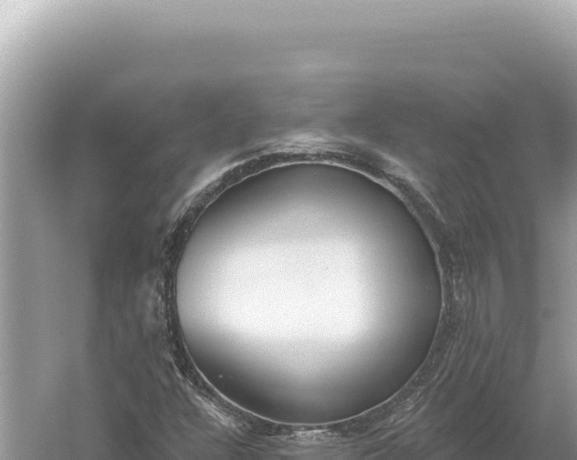 X0000059061304200510212016