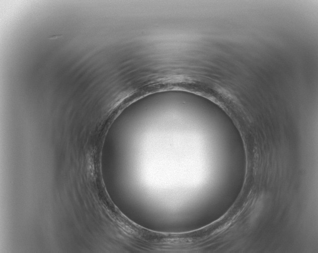 X0000059061305200510212016