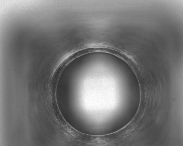 X0000059061311200510212016