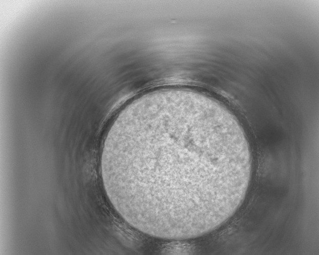 X0000059061314200510212016