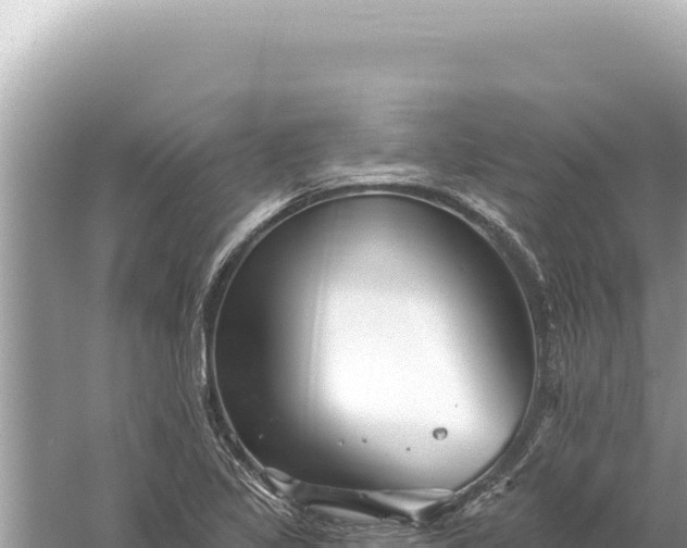 X0000059061317200510212016