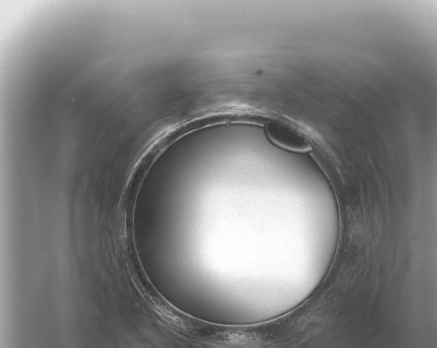 X0000059061318200510212016