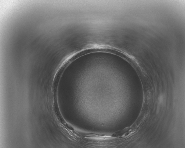 X0000059061319200510212016