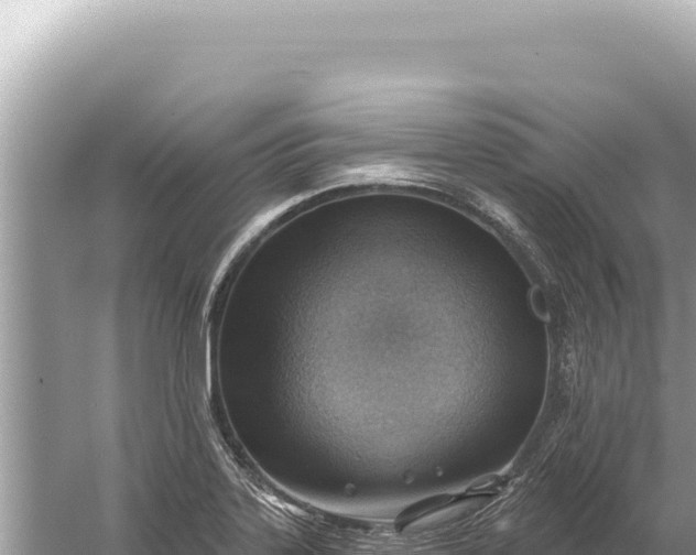 X0000059061323200510212016