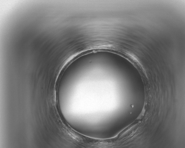 X0000059061324200510212016