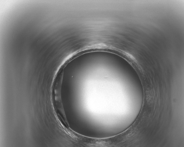 X0000059061326200510212016