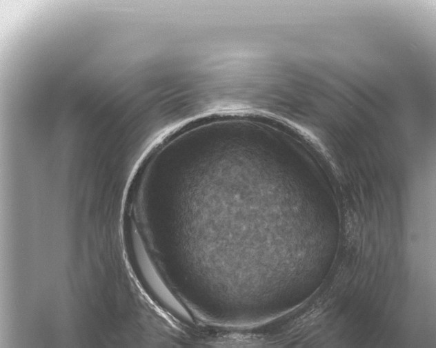 X0000059061327200510212016