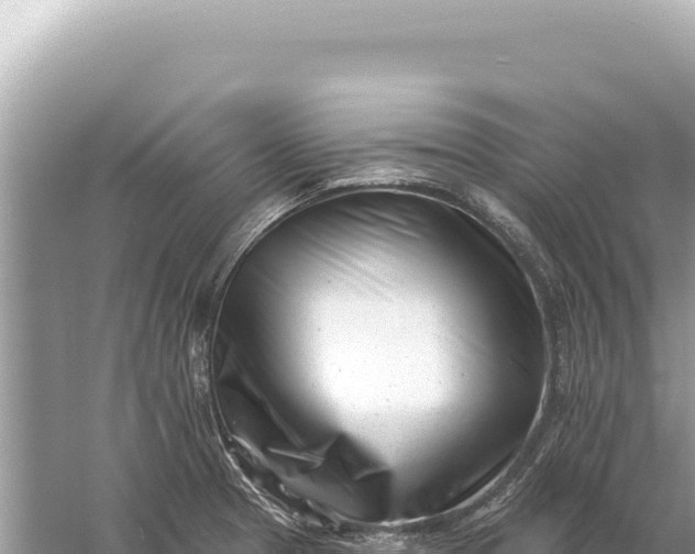 X0000059061329200510212016